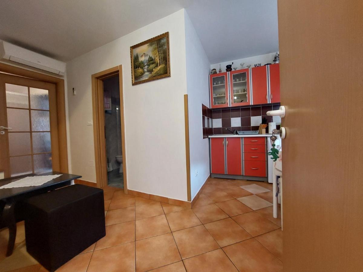 Leona Apartment Novigrad  ภายนอก รูปภาพ