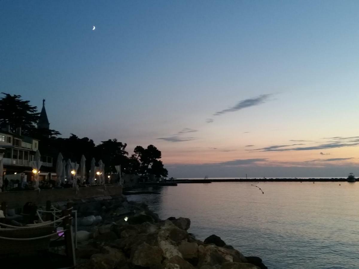 Leona Apartment Novigrad  ภายนอก รูปภาพ